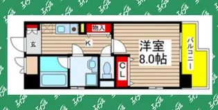 パールコート【305号室】の間取り