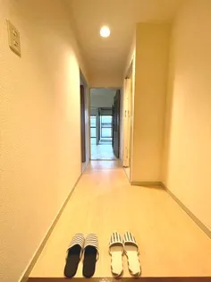 アムールハイツ【301号室】の玄関