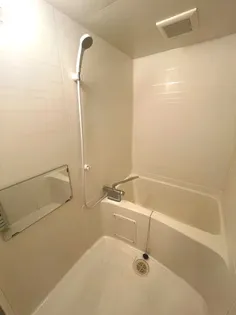 アムールハイツ【301号室】の風呂