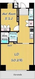 セレニティー金山【9階】の間取り