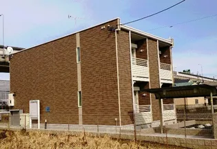 レオネクストグリーンの画像