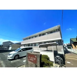 ピーヌスⅡの画像