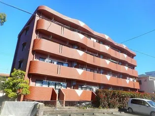 ルピナス イーストの画像