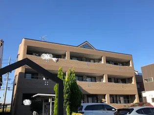 ドルチェの画像