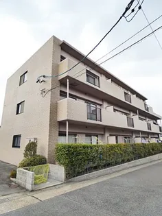 レージュグリーンの画像