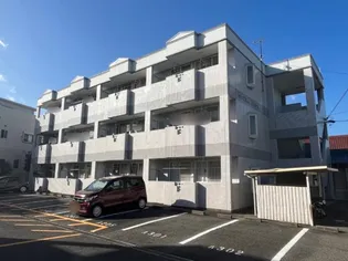 ツインハイムミサトの画像