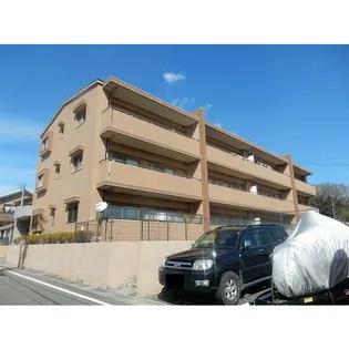 プランドールの画像