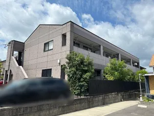 サンフラワー Fの画像