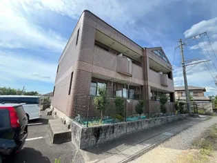 ミレニアムKの画像