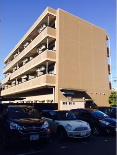 ルミナスアツタの画像