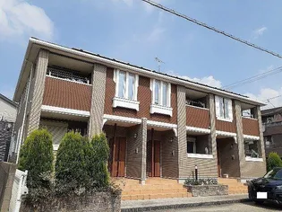 プラシード Nの画像