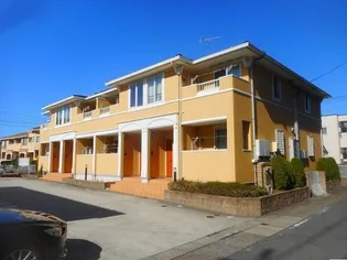 ヒラソルの画像