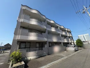 プリマヴェイラⅢの画像