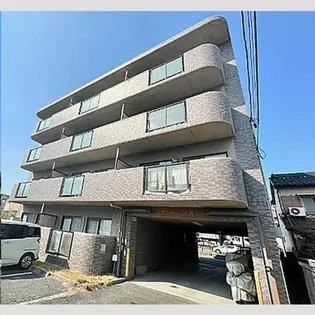 アムール正保の画像