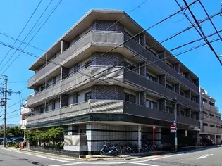サンドリヨンゴキソの画像