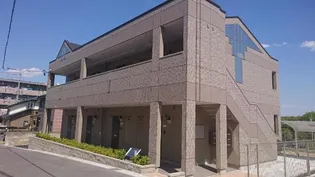 ステラエクシードの画像