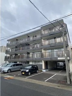 リバーサイド市場木の画像