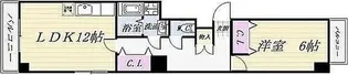 ドリーム新栄【7階】の間取り