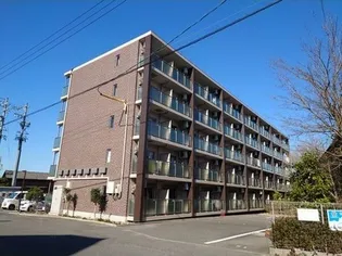 SMILE ITOの画像