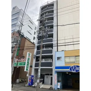 PROGRESS錦の画像