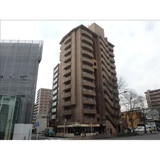 ジャルダン老松の画像