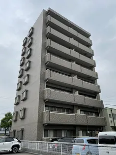 コンソランテの画像