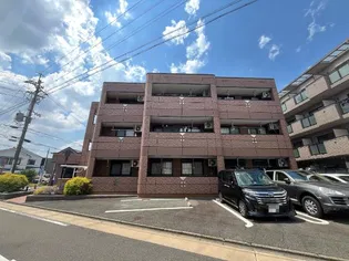 サリーダS Tの画像