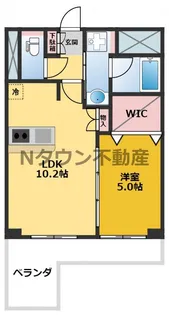 プレサンス丸の内城雅【11階】の間取り