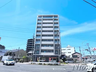 マイコスモス【8階】の外観