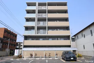 THE SEVENS'の画像