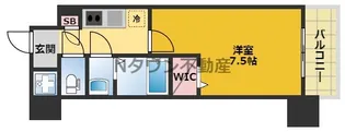 エスリード新栄マルス【2階】の間取り