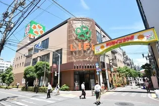 ステージグランデ多摩川【5階】の周辺