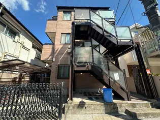 シュロス向日葵の画像