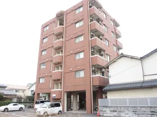 パミドールの画像