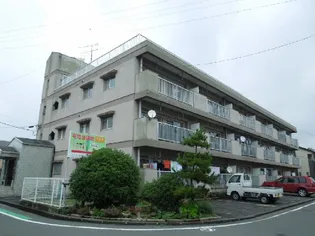 宇都宮ハイツ【202号室】の外観