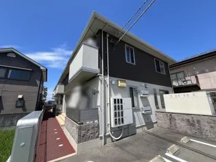 シェルセオンの画像