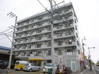 キャッスルエアポート【603号室】の外観