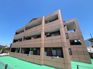サンシャイン柳の画像