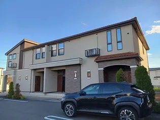 ステラ アイの画像