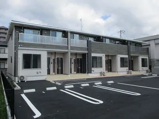 エヴァーグリーン N Kの画像