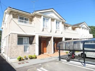 マンダリーナの画像