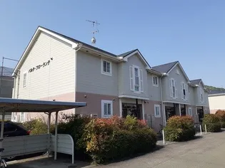 グリーングラスの画像