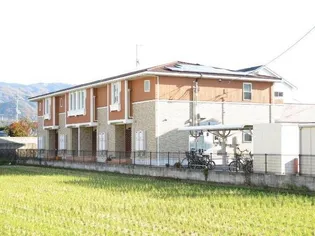 ノース エンゼルの画像