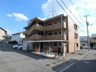 ユーミーつばきの画像