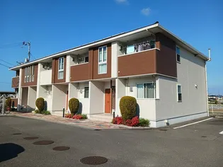 ビルゴ プラシードの画像