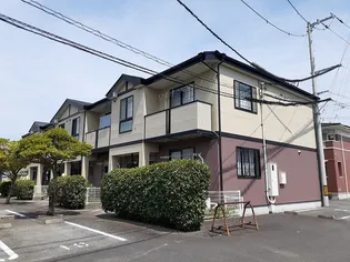 プリムローズの画像