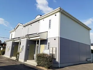 サンフラワーの画像