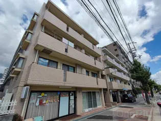 パレグレィス ヒエダの画像