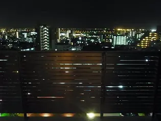 アバンサハウス【9階】のその他画像