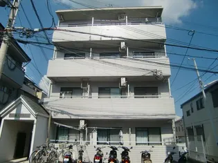 ハイムフクジュの画像